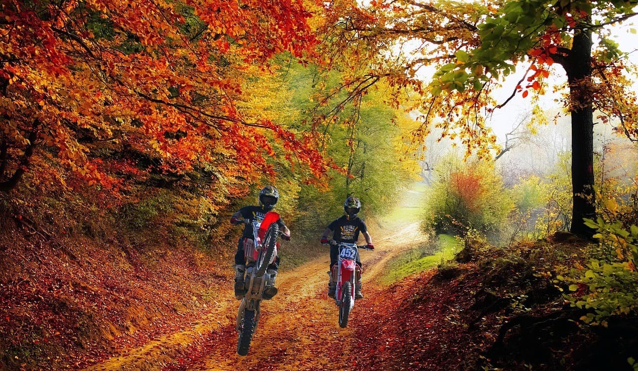 Adrenalin pur: Warum Geschwindigkeit so fasziniert